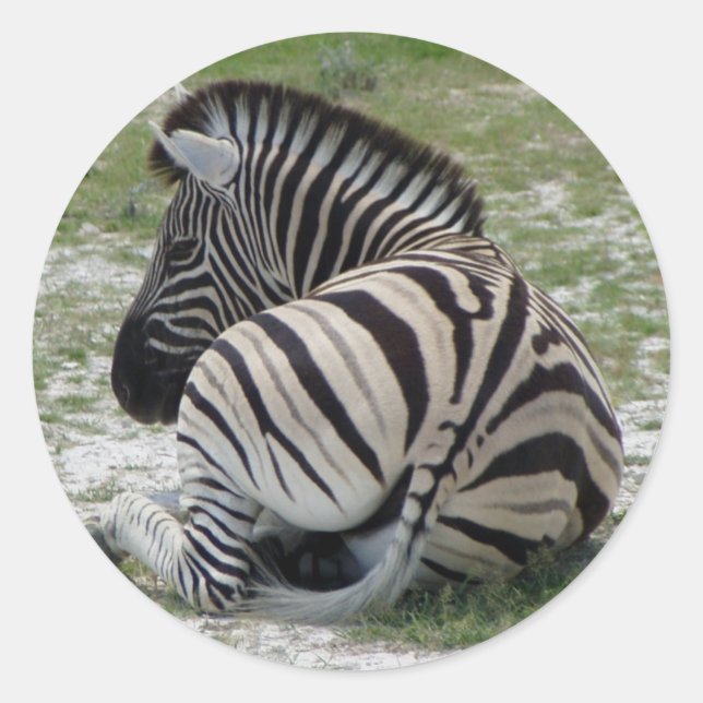 Zebra Stickers (Vorderseite)