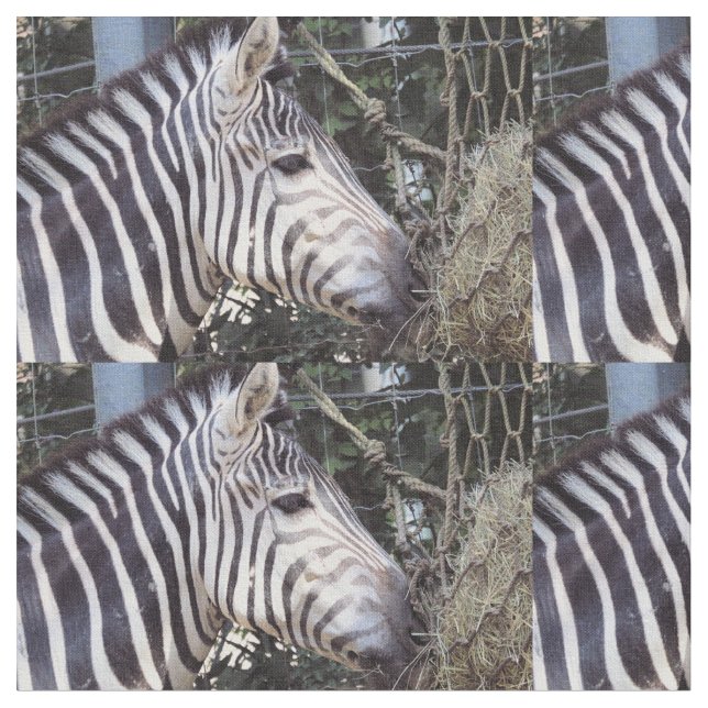 Zebra Stoff (Nahaufnahme)
