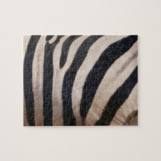 Zebra Streifen Schwarz-Weiß (Horizontal)