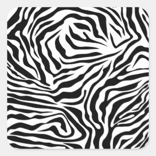 Zebra Streifen Schwarz-Weiß-Wildtierdruck Quadratischer Aufkleber