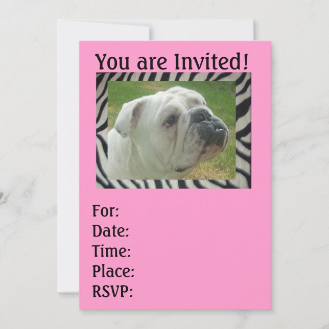 Zebra Strip English Bulldog Party Einladungen (Vorderseite)