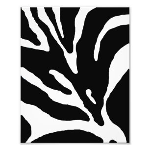 Zebra Stripe Animal Print Fotodruck