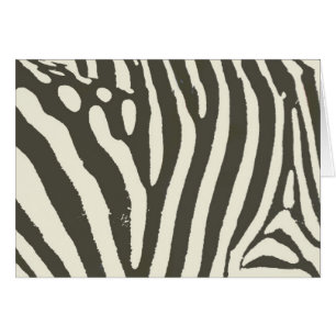 Zebra Stripe Animal Print Muster