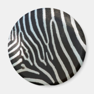 Zebra Stripes Magnet