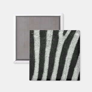 Zebra Stripes Magnet