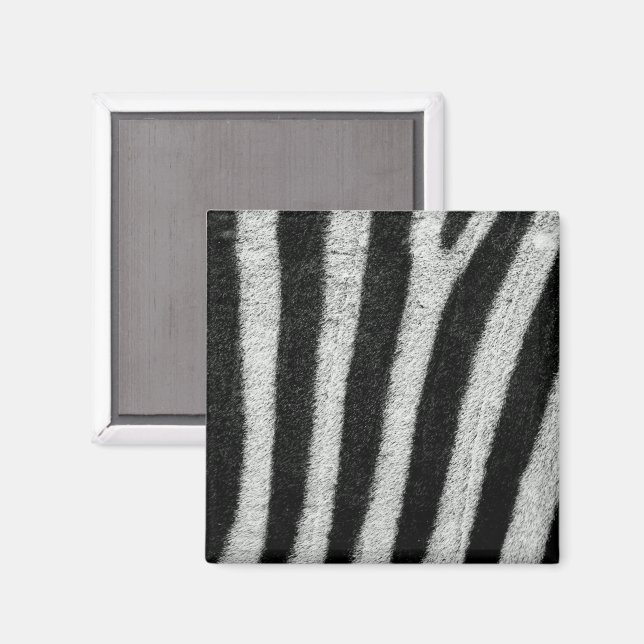 Zebra Stripes Magnet (Vorderseite/Rückseite)