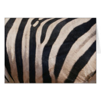 Zebra Stripes noir et blanc