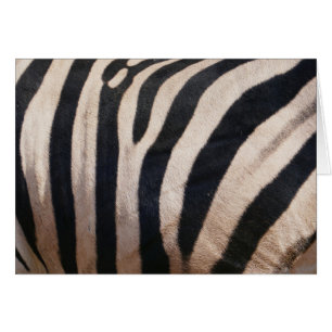 Zebra Stripes noir et blanc