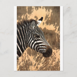 Zebra Stripes Postkarte