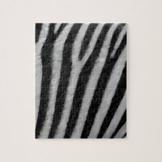 Zebra Texture