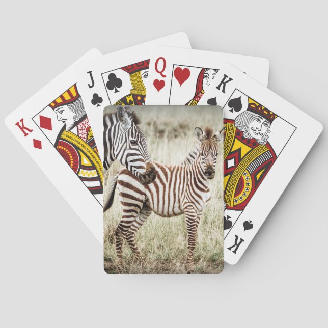 Zebra-u. Baby-Spielkarten Spielkarten (Rückseite)