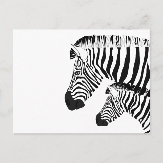 Zebra und Baby Postkarte (Vorderseite)