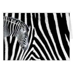 Zebra und es ist Streifen