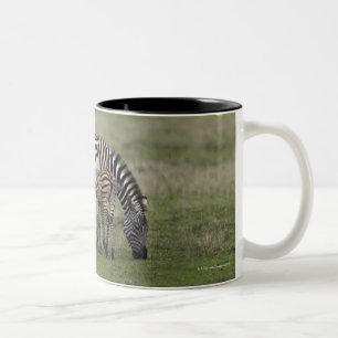 Zebra und Krankenpflegefohlen, Tansania Zweifarbige Tasse