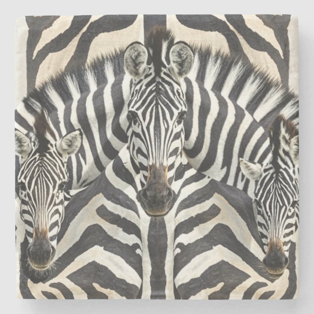 Zebra Untersetzer (Vorderseite)