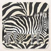 Zebra Untersetzer