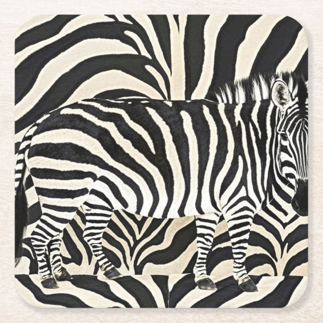 Zebra Untersetzer (Vorderseite)