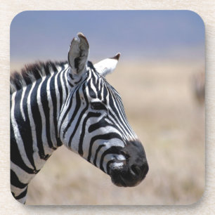 Zebra Untersetzer