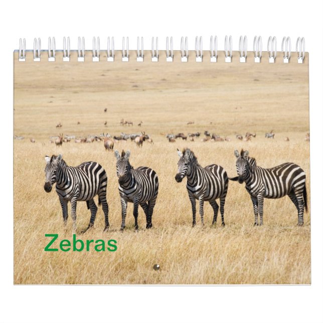 Zebra Wall Calendar Kalender (Titelbild)