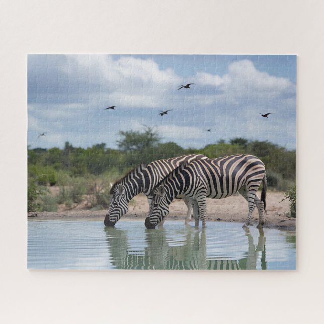 Zebra-Wasserstelle (Horizontal)