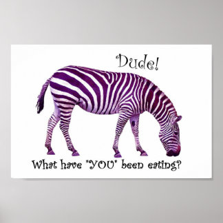 Zebra wieder.... poster