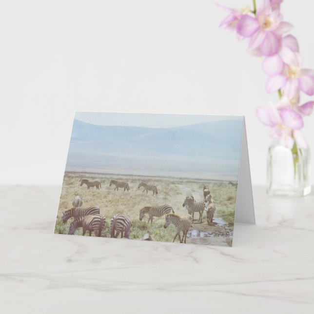 Zebra Wild Birthday Wish Karte (Orchidee)