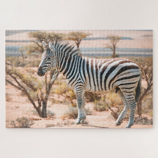 Zebra zu Safari (Horizontal)
