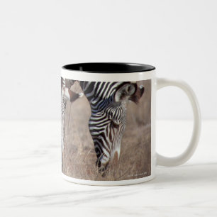 Zebra Zweifarbige Tasse
