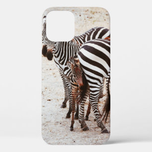 ZEBRAFAMILIE Case-Mate iPhone HÜLLE