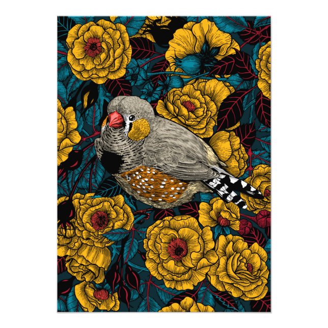 Zebrafinch und Rose Fotodruck (Vorne)