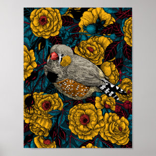 Zebrafinch und Rose Poster