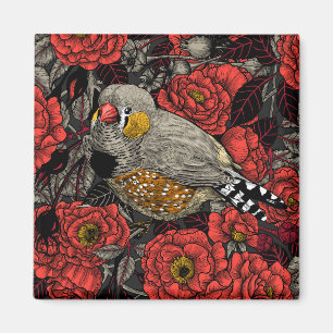 Zebrafink und rote Rosenhecke Magnet