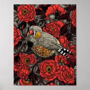 Zebrafink und rote Rosenhecke Poster