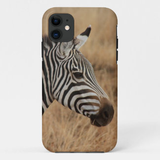 Zebrakopf title_seo2