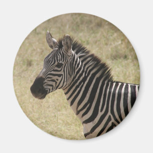 Zebramane Magnet