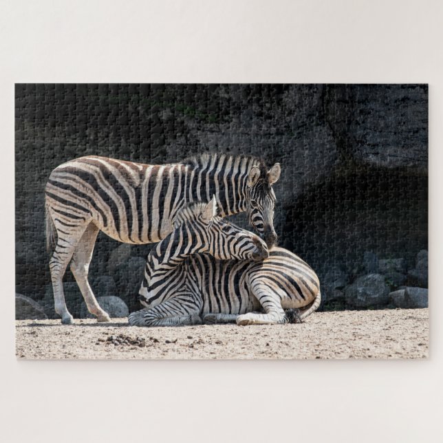 Zebras (Horizontal)