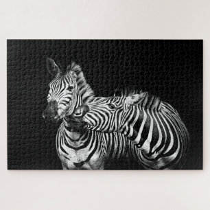 Zebras