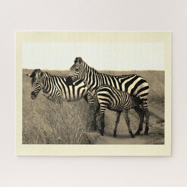 Zebras (Horizontal)