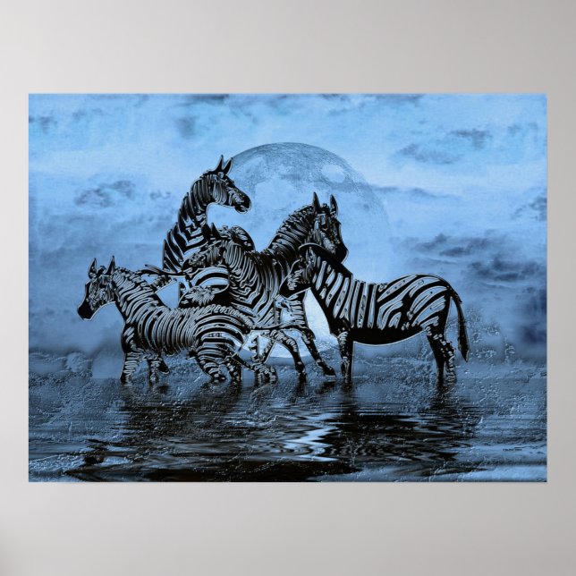 Zebras5 Poster (Vorne)