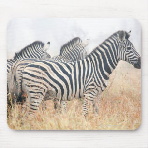 Zebras am frühen Morgen wischen, Kruger Mousepad