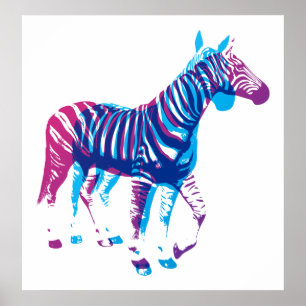 Zebras - Blau und Lila Poster