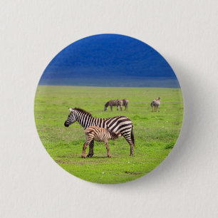 Zebras Button
