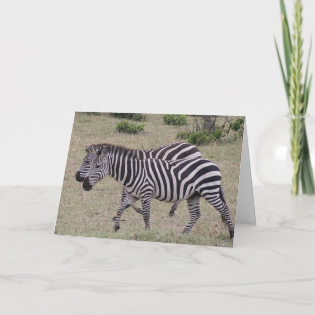 Zebras für immer feiertagskarte (Vorderseite)