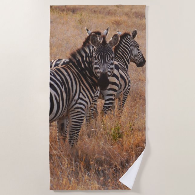 Zebras im Gras Strandtuch (Vorderseite)