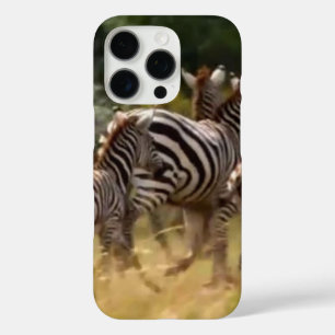 Zebras in Bewegung: Eine Reise über tausend Meilen title_seo2
