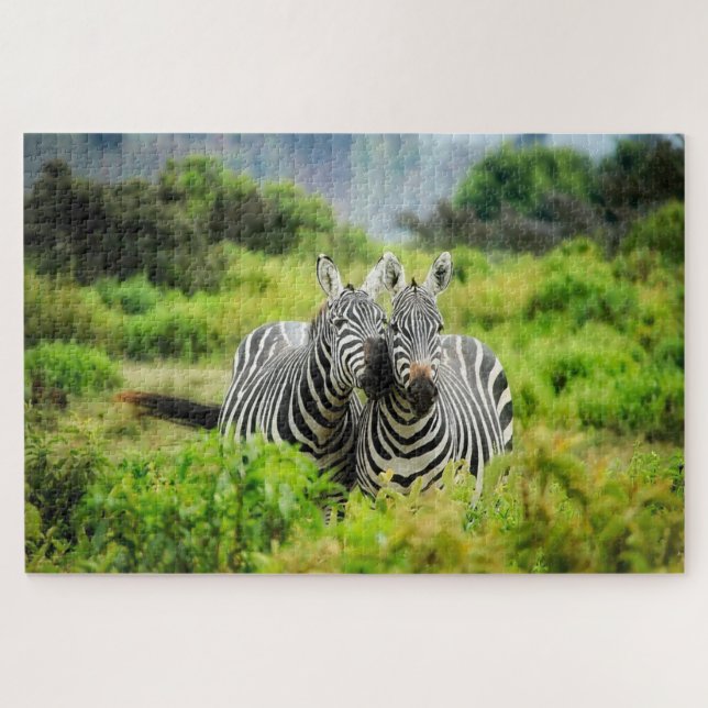 Zebras in freier Wildbahn (Horizontal)