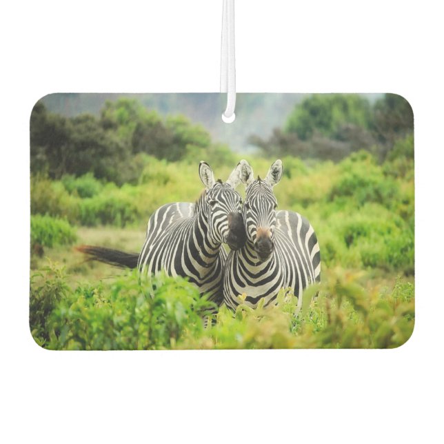 Zebras in freier Wildbahn Autolufterfrischer (Vorderseite)