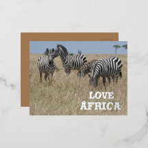 Zebra's in the Wild Foil Holiday Post Card