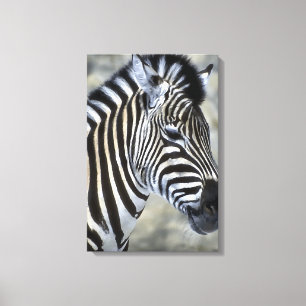 Zebras Kunst Leinwanddruck