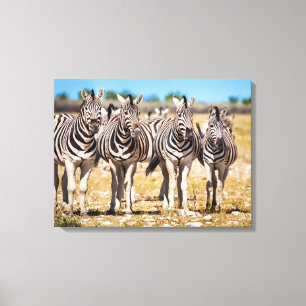 Zebras Leinwanddruck